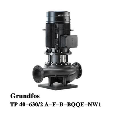 Grundfos TP 40-630/2 Einstufige Volutenpumpe Hauptkreislaufpumpen für große kommerzielle Klimaanlagen